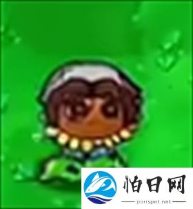 植物大战僵尸第五人格版