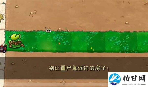 植物大战僵尸威化版