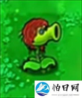 植物大战僵尸第五人格版