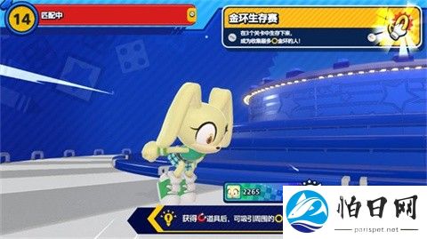 索尼克大乱斗国际服