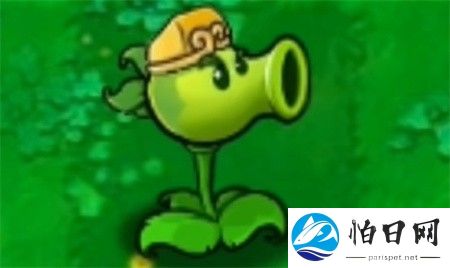植物大战僵尸黑西游版