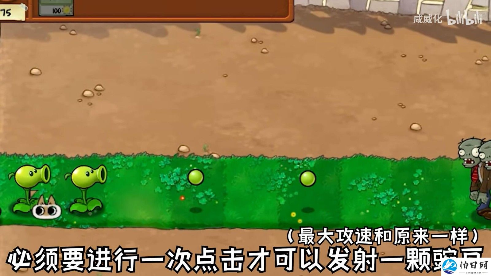 植物大战僵尸繁琐版