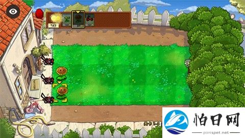 植物大战僵尸第五人格版