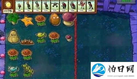 植物大战僵尸第五人格版