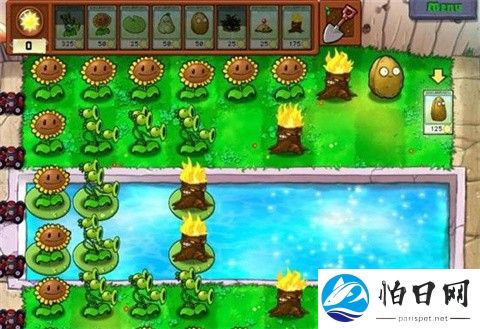 植物大战僵尸第五人格版