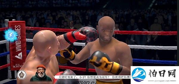 真实拳击2