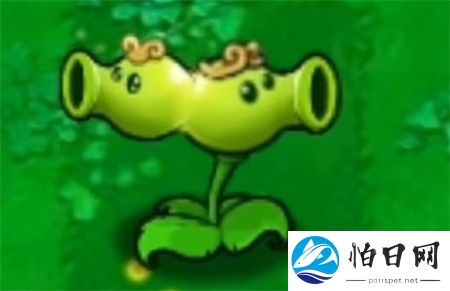 植物大战僵尸黑西游版