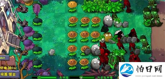 植物大战僵尸自然版
