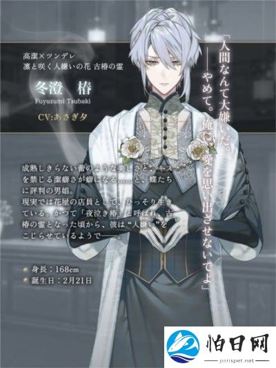 梦幻楼与不眠之蝶