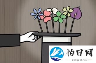 兔子先生的魔术秀
