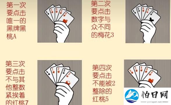 兔子先生的魔术秀