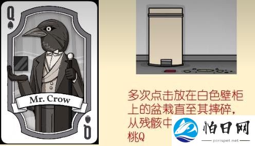 兔子先生的魔术秀