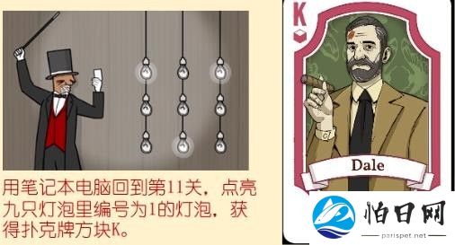 兔子先生的魔术秀