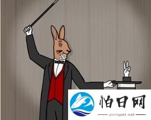 兔子先生的魔术秀