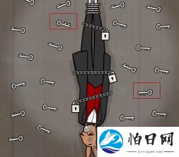 兔子先生的魔术秀