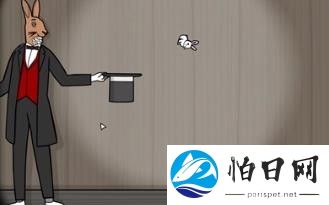 兔子先生的魔术秀